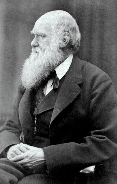 Charles Darwin, 1875 door Oscar Gustav Rejlander